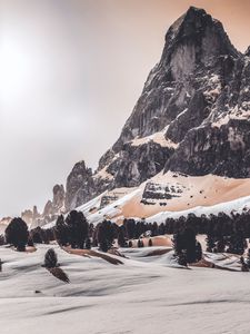 Preview wallpaper mountains, landscape, winter, trees, snow