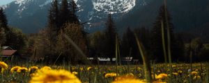 Preview wallpaper mountains, lawn, flowers, grass, landscape