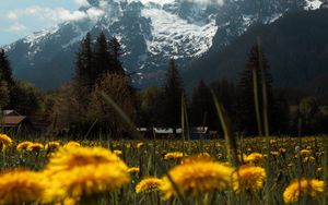 Preview wallpaper mountains, lawn, flowers, grass, landscape