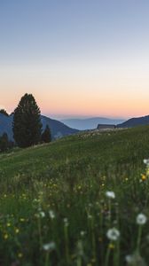 Preview wallpaper mountains, lawn, landscape, grass, trees