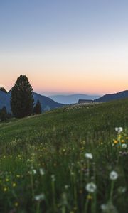 Preview wallpaper mountains, lawn, landscape, grass, trees