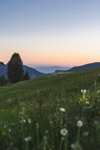 Preview wallpaper mountains, lawn, landscape, grass, trees