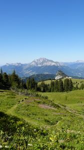 Preview wallpaper mountains, lawn, trees, grass, nature