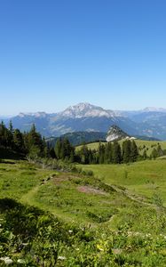 Preview wallpaper mountains, lawn, trees, grass, nature