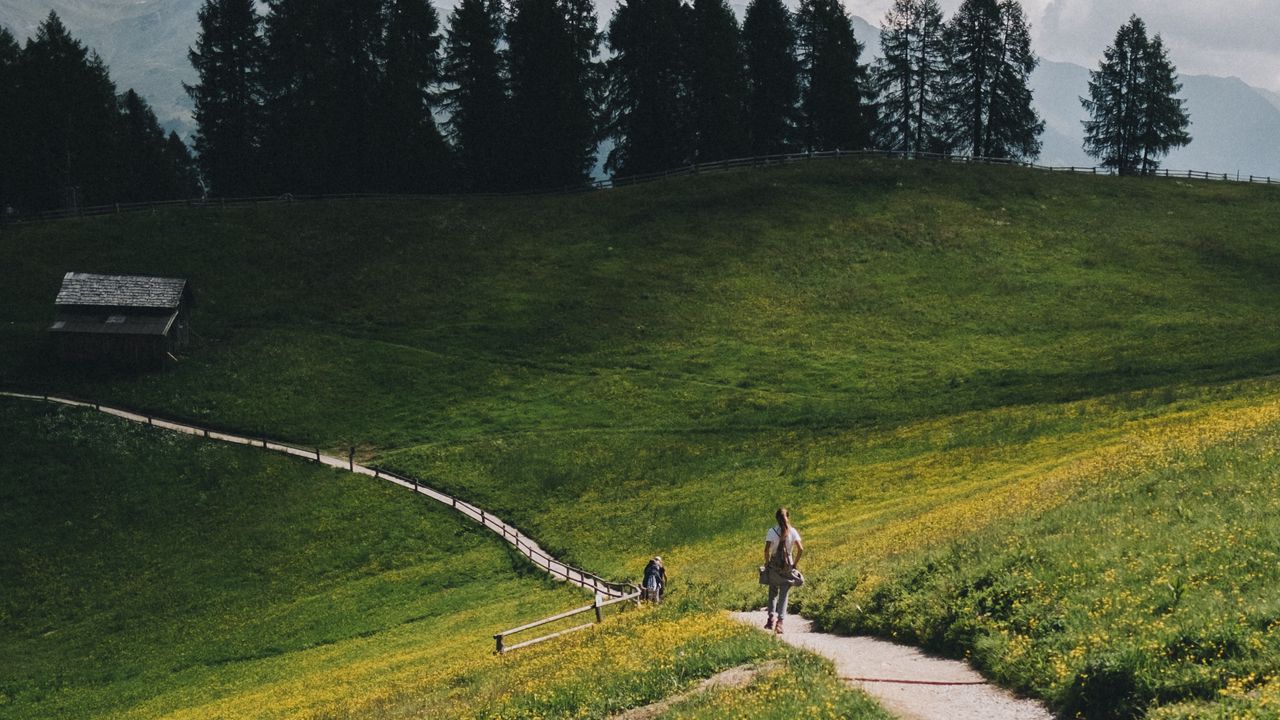 Wallpaper mountains, meadow, path, hills, trees, landscape