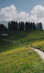 Preview wallpaper mountains, meadow, path, hills, trees, landscape