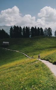 Preview wallpaper mountains, meadow, path, hills, trees, landscape