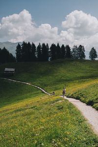 Preview wallpaper mountains, meadow, path, hills, trees, landscape