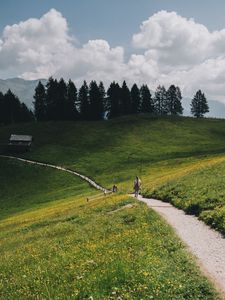 Preview wallpaper mountains, meadow, path, hills, trees, landscape