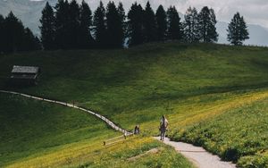 Preview wallpaper mountains, meadow, path, hills, trees, landscape