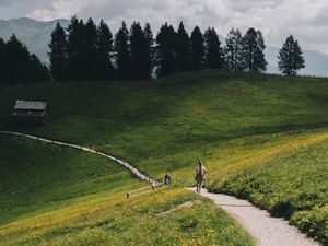Preview wallpaper mountains, meadow, path, hills, trees, landscape