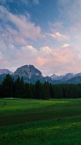 Preview wallpaper mountains, meadow, trees, grass, landscape