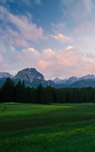 Preview wallpaper mountains, meadow, trees, grass, landscape