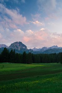 Preview wallpaper mountains, meadow, trees, grass, landscape