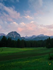 Preview wallpaper mountains, meadow, trees, grass, landscape