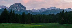 Preview wallpaper mountains, meadow, trees, grass, landscape