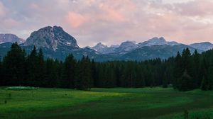 Preview wallpaper mountains, meadow, trees, grass, landscape