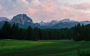 Preview wallpaper mountains, meadow, trees, grass, landscape