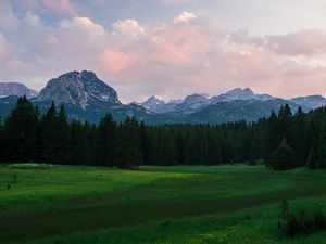 Preview wallpaper mountains, meadow, trees, grass, landscape