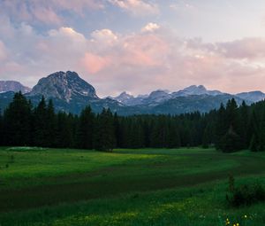 Preview wallpaper mountains, meadow, trees, grass, landscape