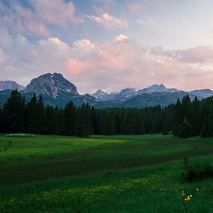 Preview wallpaper mountains, meadow, trees, grass, landscape