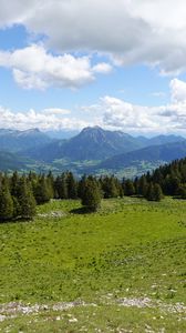 Preview wallpaper mountains, meadow, trees, grass, landscape, nature