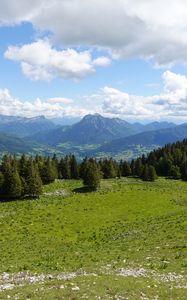 Preview wallpaper mountains, meadow, trees, grass, landscape, nature