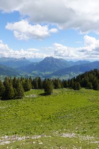 Preview wallpaper mountains, meadow, trees, grass, landscape, nature