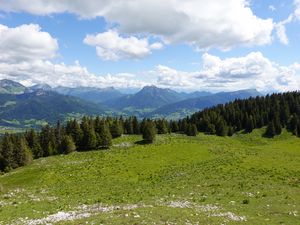 Preview wallpaper mountains, meadow, trees, grass, landscape, nature