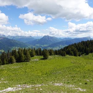 Preview wallpaper mountains, meadow, trees, grass, landscape, nature