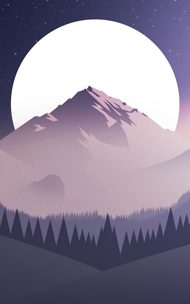 800x1280 Wallpaper mountains, moon, forest, night, starry sky, vector, flat