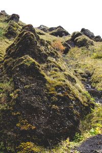 Preview wallpaper mountains, moss, grass, rocks