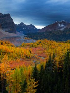 Preview wallpaper mountains, nature, sky, trees, view, landscape