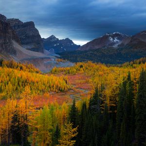 Preview wallpaper mountains, nature, sky, trees, view, landscape