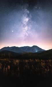 Preview wallpaper mountains, nebula, stars, trees