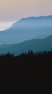 Preview wallpaper mountains, outlines, trees, coniferous, height, clouds, fog, twilight
