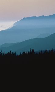 Preview wallpaper mountains, outlines, trees, coniferous, height, clouds, fog, twilight