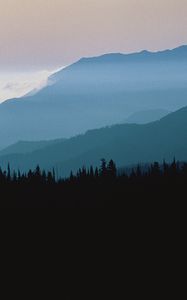 Preview wallpaper mountains, outlines, trees, coniferous, height, clouds, fog, twilight