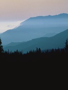 Preview wallpaper mountains, outlines, trees, coniferous, height, clouds, fog, twilight