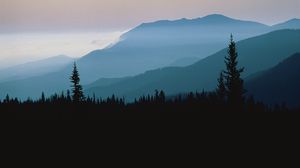 Preview wallpaper mountains, outlines, trees, coniferous, height, clouds, fog, twilight