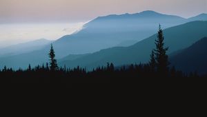 Preview wallpaper mountains, outlines, trees, coniferous, height, clouds, fog, twilight