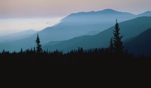 Preview wallpaper mountains, outlines, trees, coniferous, height, clouds, fog, twilight