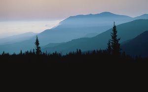 Preview wallpaper mountains, outlines, trees, coniferous, height, clouds, fog, twilight