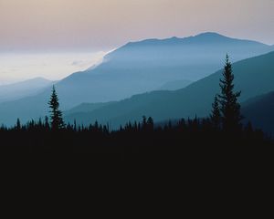 Preview wallpaper mountains, outlines, trees, coniferous, height, clouds, fog, twilight