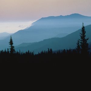 Preview wallpaper mountains, outlines, trees, coniferous, height, clouds, fog, twilight