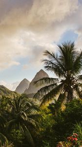 Preview wallpaper mountains, palm, landscape, island