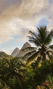 Preview wallpaper mountains, palm, landscape, island