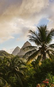 Preview wallpaper mountains, palm, landscape, island