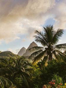 Preview wallpaper mountains, palm, landscape, island