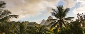 Preview wallpaper mountains, palm, landscape, island
